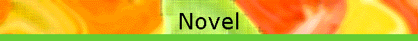 Novel