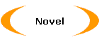 Novel
