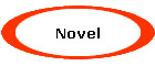 Novel